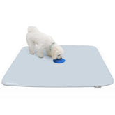 Paw Inspired Speed Spot patch close-up showing scent patch for faster potty training.