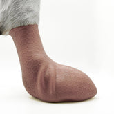 Paw—Skins 2.0 slip-on design on a small dog for fast paw protection.