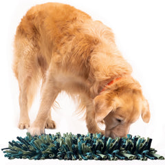 PAW5 snuffle-mat 11x17 layout boosts sniffing and calm mealtime.