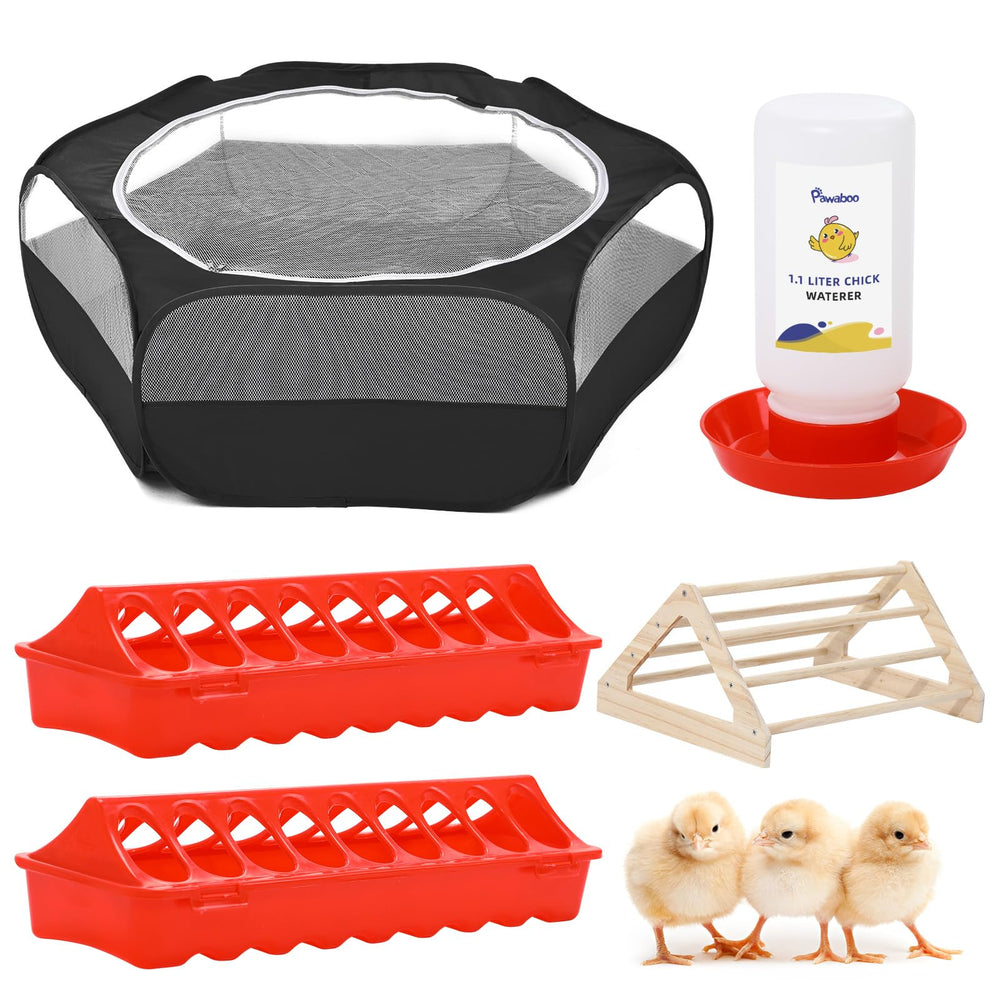 Pawaboo 5-in-1 chick feeder starter kit assembly view for orderly feeding