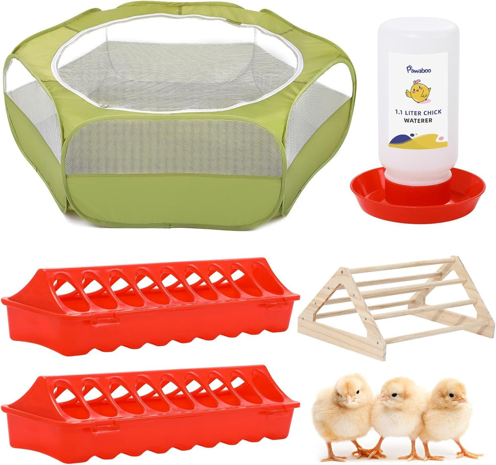 Pawaboo 5-in-1 chick brooder box contents provide a complete beginner starter kit.