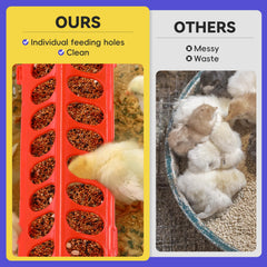 Pawaboo 18-hole chick feeder reduces crowding and mess