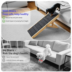 Pawaboo dog ramp assembled and stable for confident climbs.