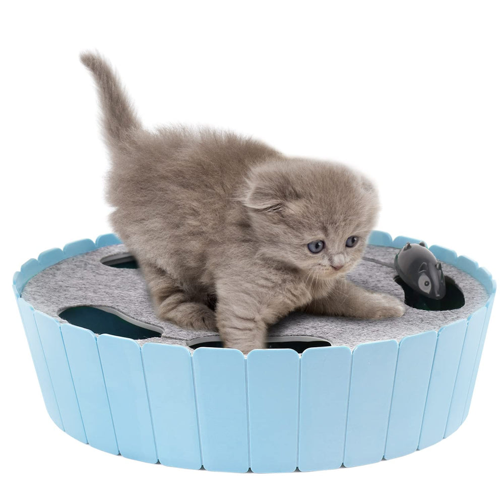 Pawaboo interactive cat toy blue in action drives indoor play and hunting instincts