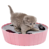 Pawaboo running mouse teaser in pink demonstrates active play and hunting-style fun.