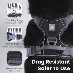 Pawaii harness shows durable webbing and sturdy buckles for daily wear