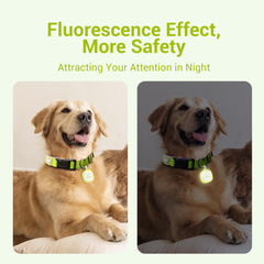 Pawaii fluorescent QR tag side view in green, comfortable silicone on collar.