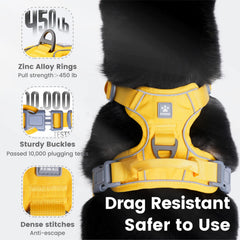 Pawaii harness front O-ring and handle for controlled training