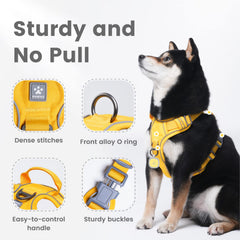 Pawaii No-Pull Harness with traffic handle for quick, confident control.