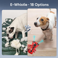 PawBehave flashlight mode demonstrates the 1000-lumen light for nighttime training