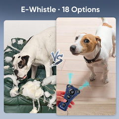 PawBehave ultrasonic bark deterrent visual cue flashlight highlights nighttime behavior correction