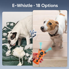 PawBehave 18-whistles close-up highlights varied humane audio options for focus and recall.