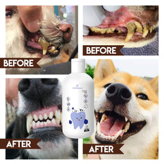 PawBright Dental Plus measuring cap demonstrates simple, consistent dosing.