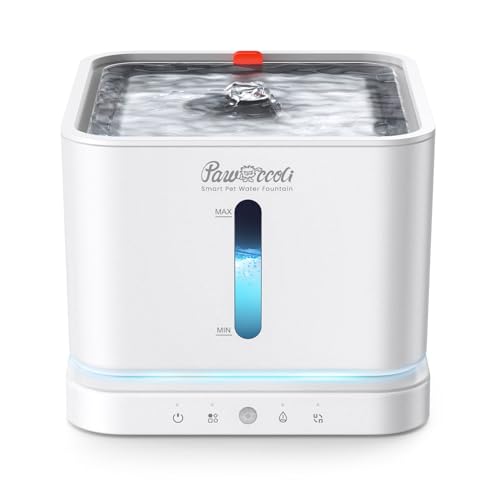 Pawccoli cordless cat water fountain front view with stainless steel tray delivers fresh hydration.