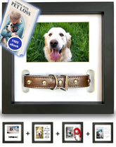 PAWCEPTIVE dog memorial frame showing five display options for lasting memories