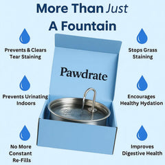 Pawdrate stainless steel 304 design provides rust resistance for long-lasting hydration.