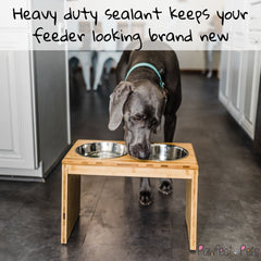 Pawfect Pets elevated feeder stand—front view with bowls locked in place