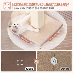 Pawfessor dangling-balls play-action invites pouncing and batting