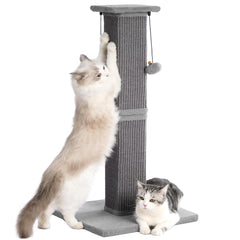 Pawfessor large cat scratching post base view provides stable foundation for big cats.