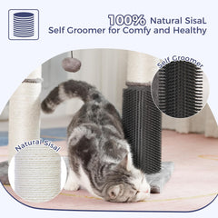 Pawfessor self-groomer delivers gentle grooming sessions to reduce loose fur.