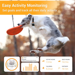 Pawfit remote voice recall lets you call your dog back from afar.