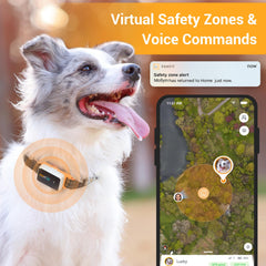 Pawfit safety alerts with LED light provide instant notifications and quick locating.