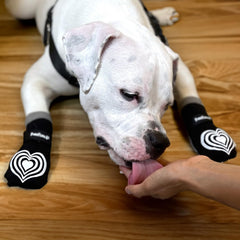 PawFlex dog socks non-slip inner cuff ensures slip-free wear on floors and carpets