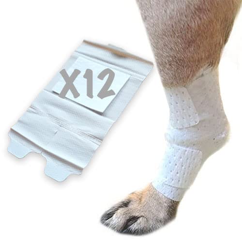 PawFlex joint bandage on a dog's leg with adjustable strap for secure fit.
