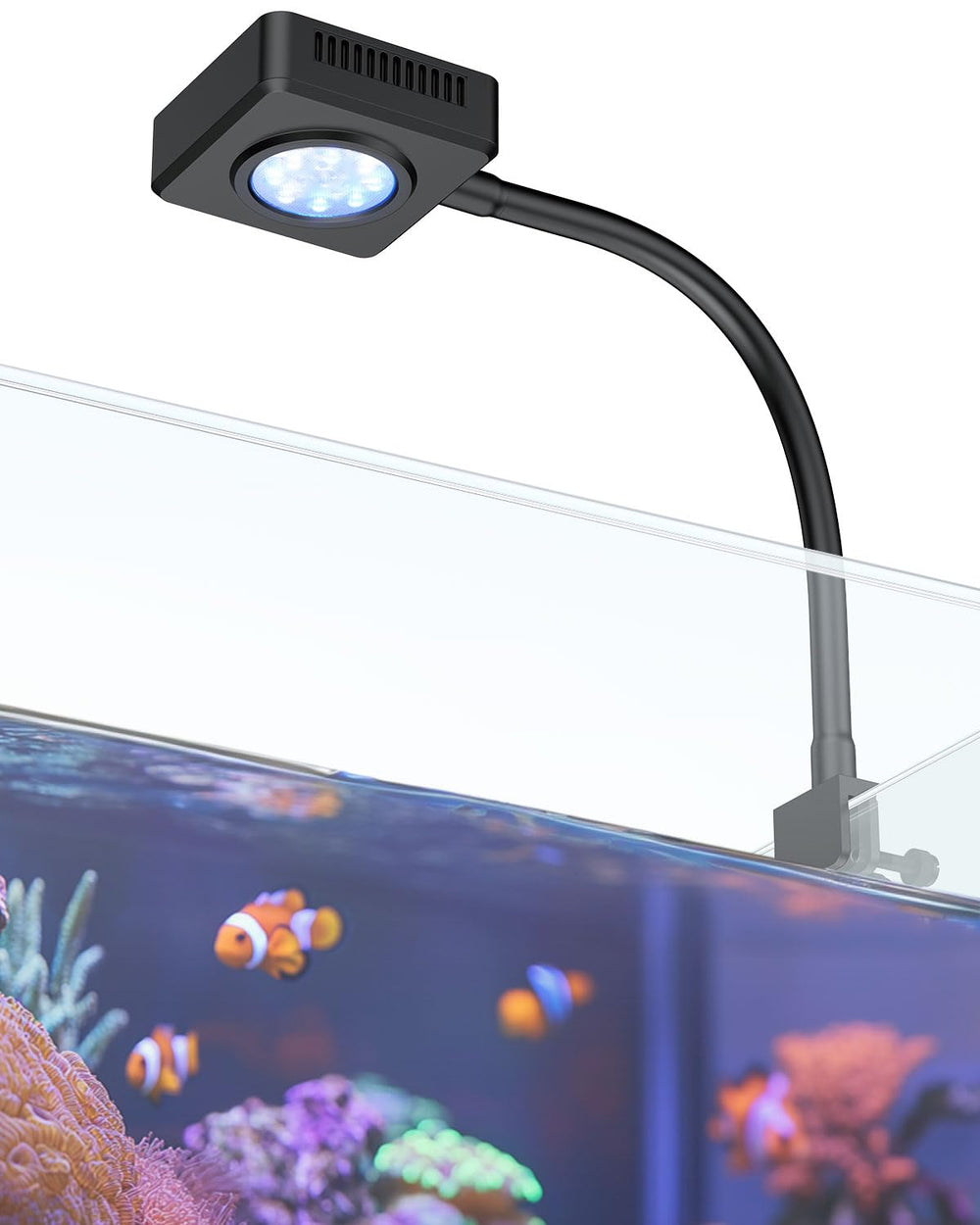 Pawfly 15W LED aquarium light on tank front view boosts colors and clarity.