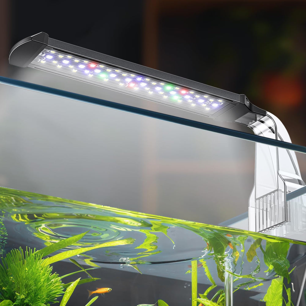 Pawfly 8W aquarium LED light closeup shows vibrant full-spectrum colors