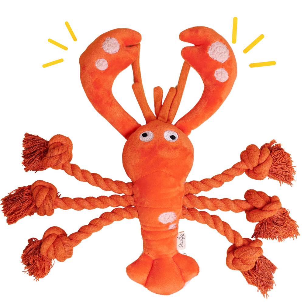 Pawfoo Lab Lobster Dog Toy head squeaker for engaging play and sound stimulation