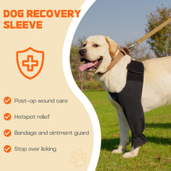 Pawfun adjustable velcro strap demonstrates secure fit for healing