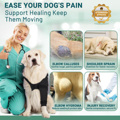 Pawfun dog elbow pad protection prevents abrasions on floors and grass during activity.