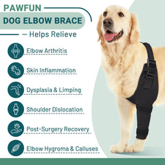 Pawfun elbow brace breathable fabric promotes comfortable wear during walks and play.