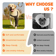 Pawfun recovery sleeve worn on dog showing secure protection during activities