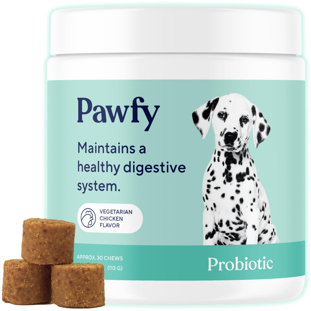 Pawfy Probiotics for Dogs packaging emphasizes daily chew format for easy use.