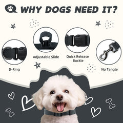 PawHuggies dark grey dog leash close-up ideal for everyday adventures