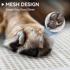 PAWISE elevated mesh drain base directs urine quickly to deep tray