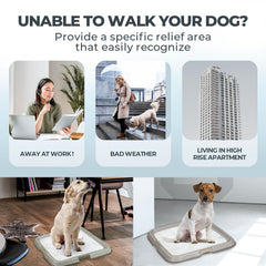 PAWISE indoor puppy potty tray demonstrates stable pad placement on hardwood, tile, or carpet.