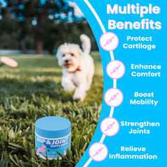 PAWIZON Advanced Hip and Joint Chews packaging highlights vet-developed formula.
