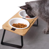 Pawkizz elevated cat bowl stand tilt promotes better posture during meals.