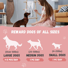 Pawmate kabobs skewer design playtime image demonstrates interactive bonding during treats