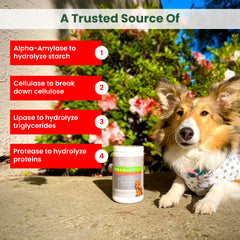 PawMedica ingredients panel shows prebiotics and probiotics for gut health