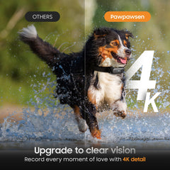 PAWPAWSEN pet camera worn on collar for hands free POV