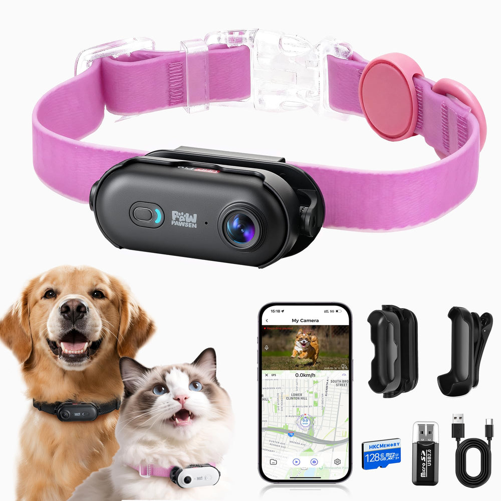 PAWPAWSEN collar camera in 4K UHD capturing vivid outdoor footage