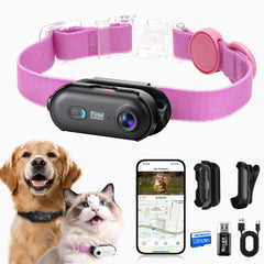 PAWPAWSEN collar camera in 4K UHD capturing vivid outdoor footage