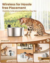 PawPoll wireless cat water fountain top view emphasizes compact footprint on any surface