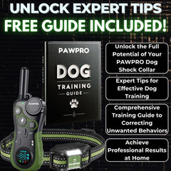 PAWPRO 124 levels provide precise feedback for tailored training