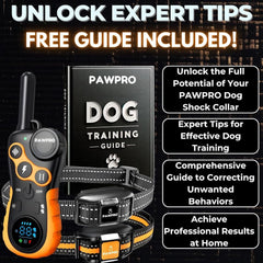 PAWPRO IPX7 waterproof collar handles rain and mud.