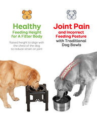 Pawque anti-spill rim reduces mess during busy mealtimes.